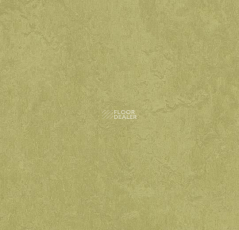 Forbo Marmoleum Marbled Fresco 3265-326535 avocado фото 1 | FLOORDEALER